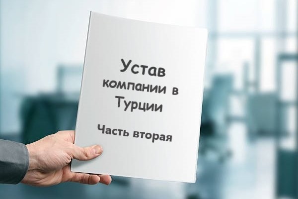 УСТАВ КОМПАНИИ(ООО) В ТУРЦИИ – 2